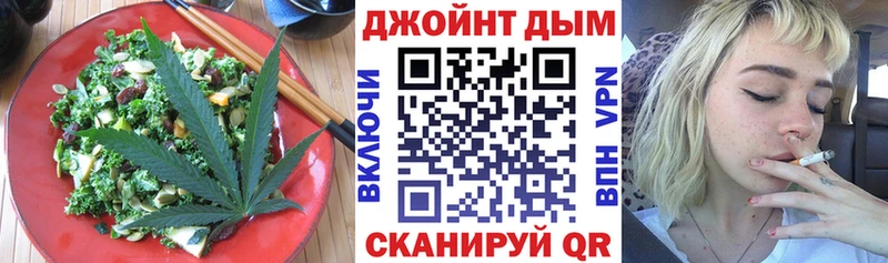 где найти   Аргун  Cannafood конопля 