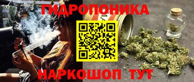 прущие крисы Аргун