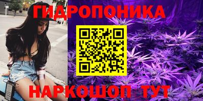 прущие крисы Аргун