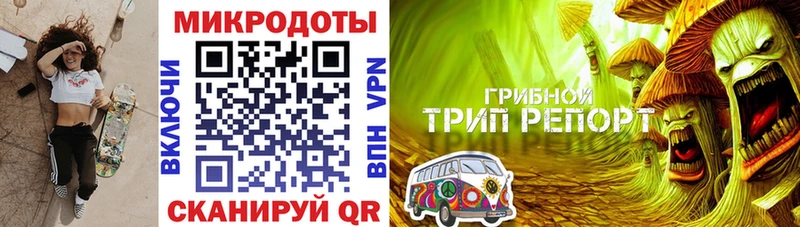 маркетплейс наркотические препараты где можно купить наркотик Аргун Псилоцибиновые грибы Magic Shrooms