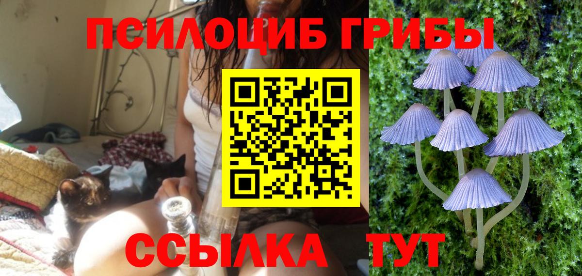 Псилоцибиновые грибы GOLDEN TEACHER Аргун