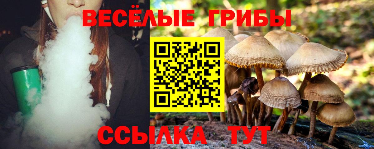 Псилоцибиновые грибы Psilocybine cubensis  Аргун  Псилоцибиновые грибы мицелий 