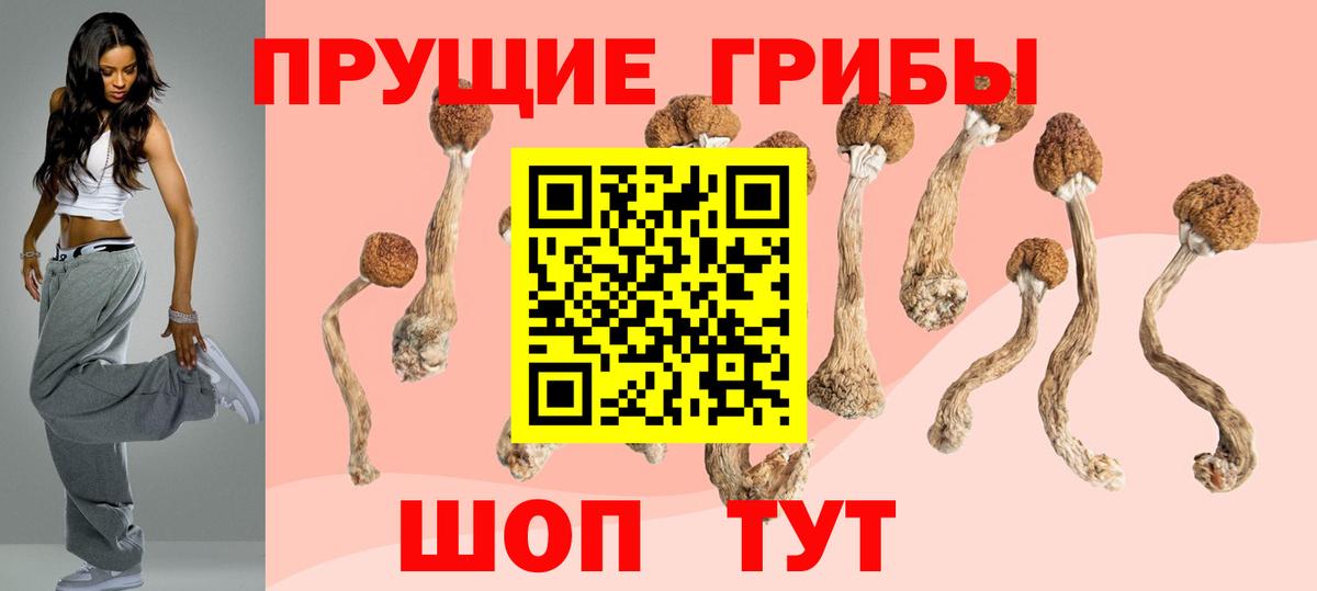Псилоцибиновые грибы MAGIC MUSHROOMS  Вход с VPN  Аргун 